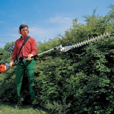 hedge trimmer on a pole rentals