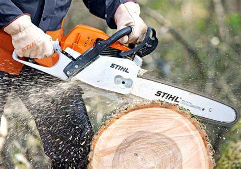 Chainsaw rentals in Millis, MA