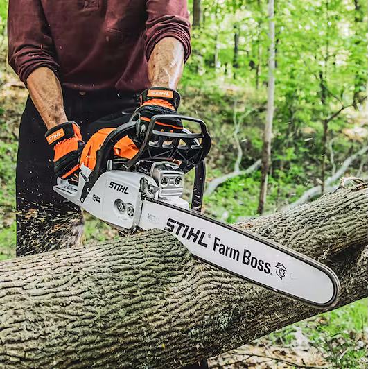 Chainsaw rentals near Medway, MA