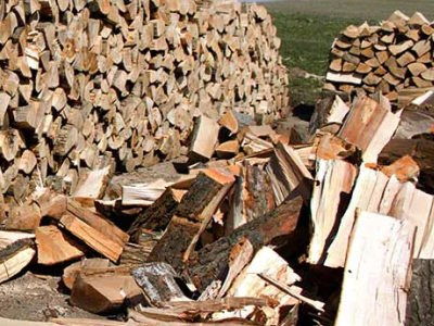 A pile of split logs