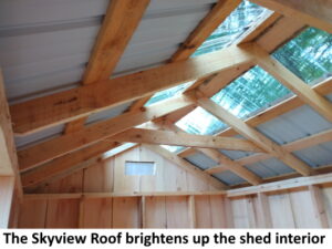 Shed with Skyview Roof options in Millis, MA