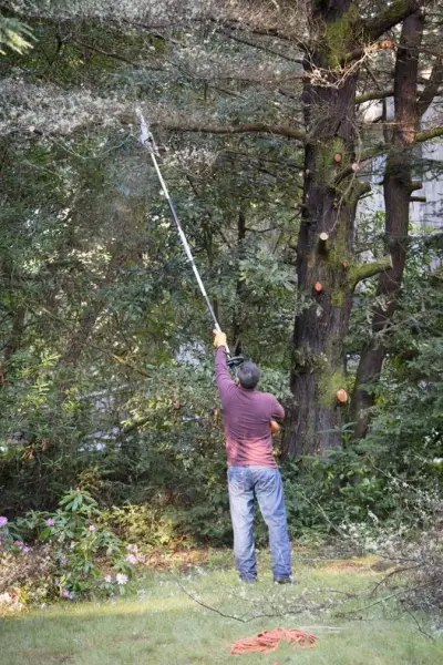 pole saw rental in Massachusetts