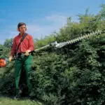 hedge trimmer on a pole rental