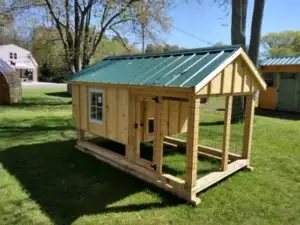 6x10 Amish Built Chicken Coop and Run right front corner view