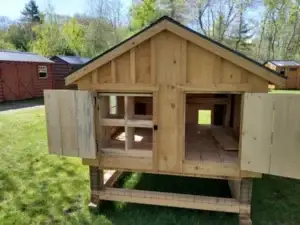 6x10 Amish Built Chicken Coop and Run open nesting box and access door