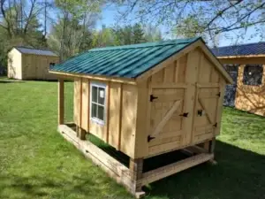 6x10 Amish Built Chicken Coop and Run left rear corner view