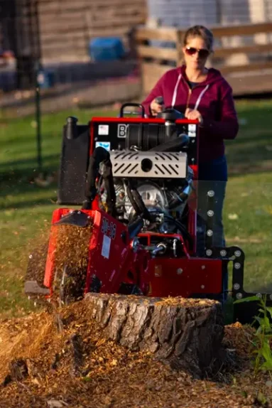 rent stump grinder Massachusetts